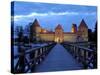 Trakai Castle Illuminated at Night, Trakai, Near Vilnius, Lithuania, Baltic States, Europe-Gary Cook-Stretched Canvas