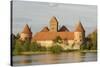 Trakai Castle, Trakai, Near Vilnius, Lithuania, Baltic States-Gary Cook-Stretched Canvas