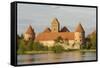 Trakai Castle, Trakai, Near Vilnius, Lithuania, Baltic States-Gary Cook-Framed Stretched Canvas