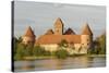 Trakai Castle, Trakai, Near Vilnius, Lithuania, Baltic States-Gary Cook-Stretched Canvas