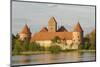 Trakai Castle, Trakai, Near Vilnius, Lithuania, Baltic States-Gary Cook-Mounted Photographic Print