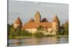 Trakai Castle, Trakai, Near Vilnius, Lithuania, Baltic States-Gary Cook-Stretched Canvas