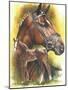 Trakehner-Barbara Keith-Mounted Giclee Print