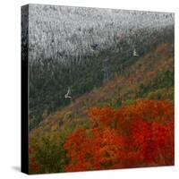 Tram Cars Take Tourists Up Cannon Mountain in New Hampshire as Snow Meets with Changing Leaves-null-Stretched Canvas