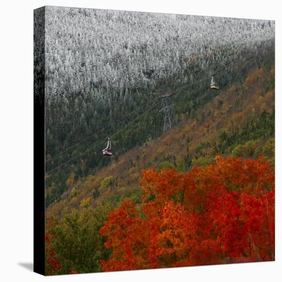 Tram Cars Take Tourists Up Cannon Mountain in New Hampshire as Snow Meets with Changing Leaves-null-Stretched Canvas