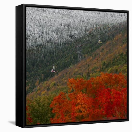 Tram Cars Take Tourists Up Cannon Mountain in New Hampshire as Snow Meets with Changing Leaves-null-Framed Stretched Canvas