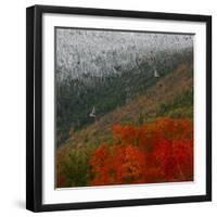 Tram Cars Take Tourists Up Cannon Mountain in New Hampshire as Snow Meets with Changing Leaves-null-Framed Premium Photographic Print