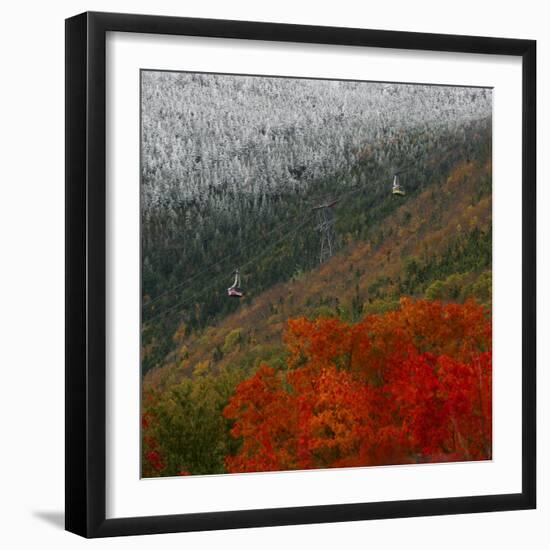 Tram Cars Take Tourists Up Cannon Mountain in New Hampshire as Snow Meets with Changing Leaves-null-Framed Premium Photographic Print