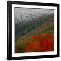 Tram Cars Take Tourists Up Cannon Mountain in New Hampshire as Snow Meets with Changing Leaves-null-Framed Photographic Print