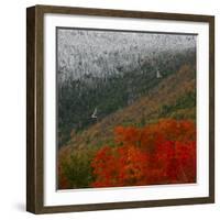 Tram Cars Take Tourists Up Cannon Mountain in New Hampshire as Snow Meets with Changing Leaves-null-Framed Photographic Print