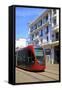 Tram, Casablanca, Morocco, North Africa, Africa-Neil Farrin-Framed Stretched Canvas