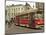 Tram, Den Haag (The Hague), Holland (The Netherlands)-Gary Cook-Mounted Photographic Print