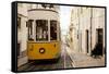 Tram in Elevador Da Bica, Lisbon, Portugal-Ben Pipe-Framed Stretched Canvas