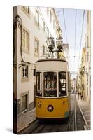 Tram in Elevador Da Bica, Lisbon, Portugal-Ben Pipe-Stretched Canvas