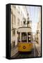 Tram in Elevador Da Bica, Lisbon, Portugal-Ben Pipe-Framed Stretched Canvas