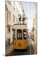 Tram in Elevador Da Bica, Lisbon, Portugal-Ben Pipe-Mounted Photographic Print