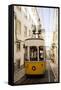 Tram in Elevador Da Bica, Lisbon, Portugal-Ben Pipe-Framed Stretched Canvas