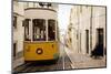 Tram in Elevador Da Bica, Lisbon, Portugal-Ben Pipe-Mounted Premium Photographic Print