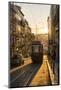 Tram in Lisbon, Portugal, Europe-Alex Treadway-Mounted Photographic Print