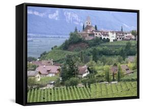 Traminer, the Town That Gave Its Name to Gewurztraminer Wine, Bolzano, Alto Adige, Italy-Michael Newton-Framed Stretched Canvas