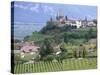 Traminer, the Town That Gave Its Name to Gewurztraminer Wine, Bolzano, Alto Adige, Italy-Michael Newton-Stretched Canvas