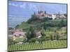 Traminer, the Town That Gave Its Name to Gewurztraminer Wine, Bolzano, Alto Adige, Italy-Michael Newton-Mounted Photographic Print