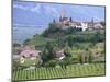 Traminer, the Town That Gave Its Name to Gewurztraminer Wine, Bolzano, Alto Adige, Italy-Michael Newton-Mounted Photographic Print