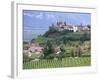 Traminer, the Town That Gave Its Name to Gewurztraminer Wine, Bolzano, Alto Adige, Italy-Michael Newton-Framed Photographic Print