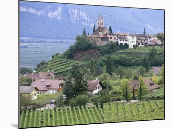 Traminer, the Town That Gave Its Name to Gewurztraminer Wine, Bolzano, Alto Adige, Italy-Michael Newton-Mounted Photographic Print