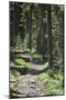 Trampas Lakes Trail in the Pecos Wilderness, Sangre De Cristo Mountains-null-Mounted Photographic Print
