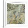 Tranquil Banquet II-Douglas-Framed Giclee Print