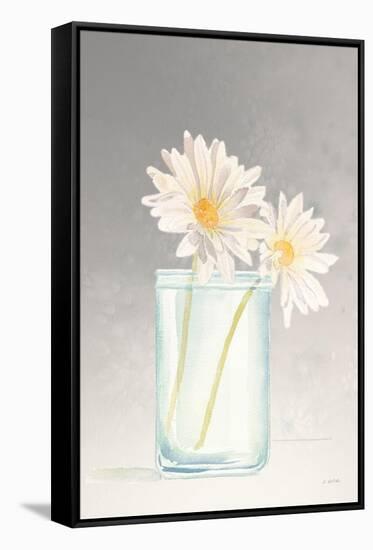 Tranquil Blossoms IV-James Wiens-Framed Stretched Canvas