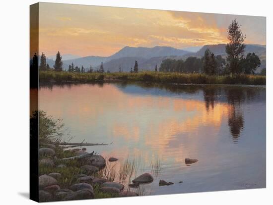 Tranquil Evening-Jay Moore-Stretched Canvas