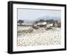 Tranquil Farm Near Bini-Hazel Barker-Framed Giclee Print