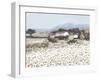 Tranquil Farm Near Bini-Hazel Barker-Framed Giclee Print