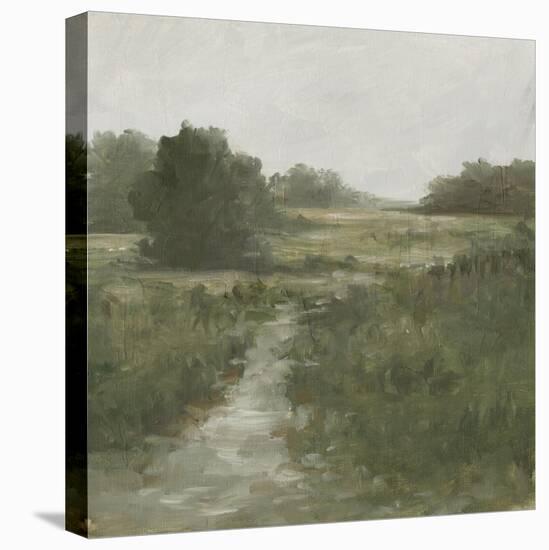 Tranquil Fen I-Ethan Harper-Stretched Canvas