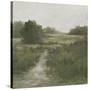 Tranquil Fen I-Ethan Harper-Stretched Canvas