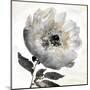 Tranquil Floral I-Tania Bello-Mounted Art Print