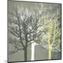 Tranquil Forest-Erin Clark-Mounted Art Print