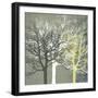 Tranquil Forest-Erin Clark-Framed Art Print