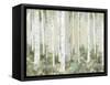 Tranquil Forest-Allison Pearce-Framed Stretched Canvas