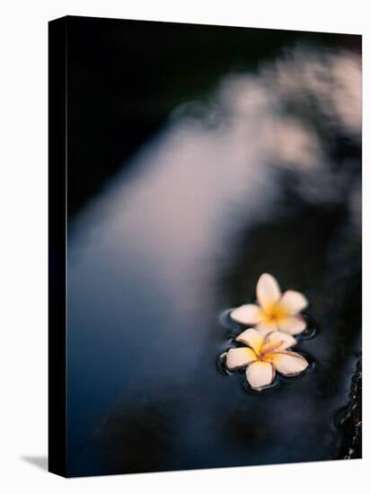 Tranquil Fountain, Kuta Bali-Byron Yu-Stretched Canvas