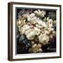 Tranquil Grandeur-Elizabeth Horning-Framed Giclee Print