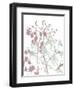 Tranquil Grass 1-Diane Stimson-Framed Art Print