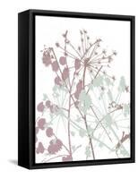 Tranquil Grass 1-Diane Stimson-Framed Stretched Canvas