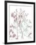 Tranquil Grass 1-Diane Stimson-Framed Art Print