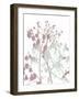 Tranquil Grass 1-Diane Stimson-Framed Art Print