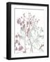 Tranquil Grass 1-Diane Stimson-Framed Art Print