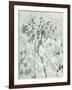 Tranquil Grass 1-Diane Stimson-Framed Art Print