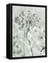 Tranquil Grass 1-Diane Stimson-Framed Stretched Canvas